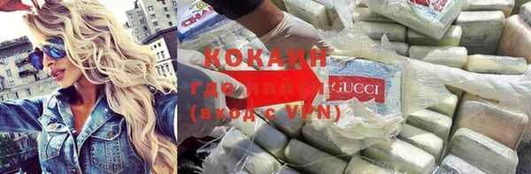 дживик Алексин